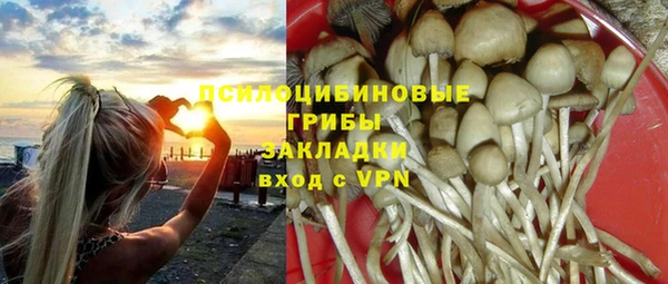 ALPHA-PVP Алексеевка